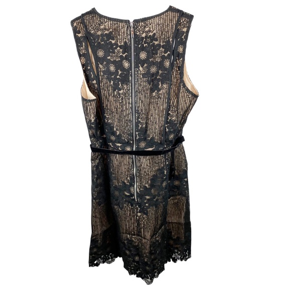 NWT Foxiedox Asha Black Nude Lace Cocktail Dress Large - Picture 11 of 14